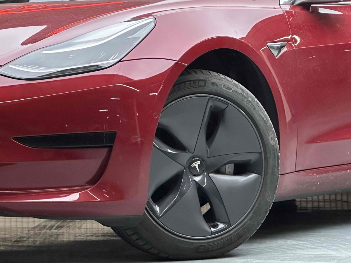 特斯拉 Model 3  2019款 標(biāo)準(zhǔn)續(xù)航后驅(qū)升級(jí)版圖片