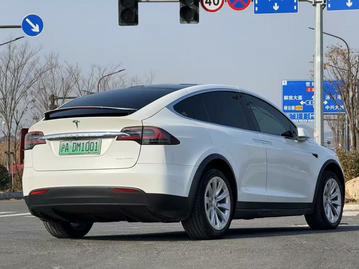 特斯拉 Model X  2020款 Performance 高性能版圖片