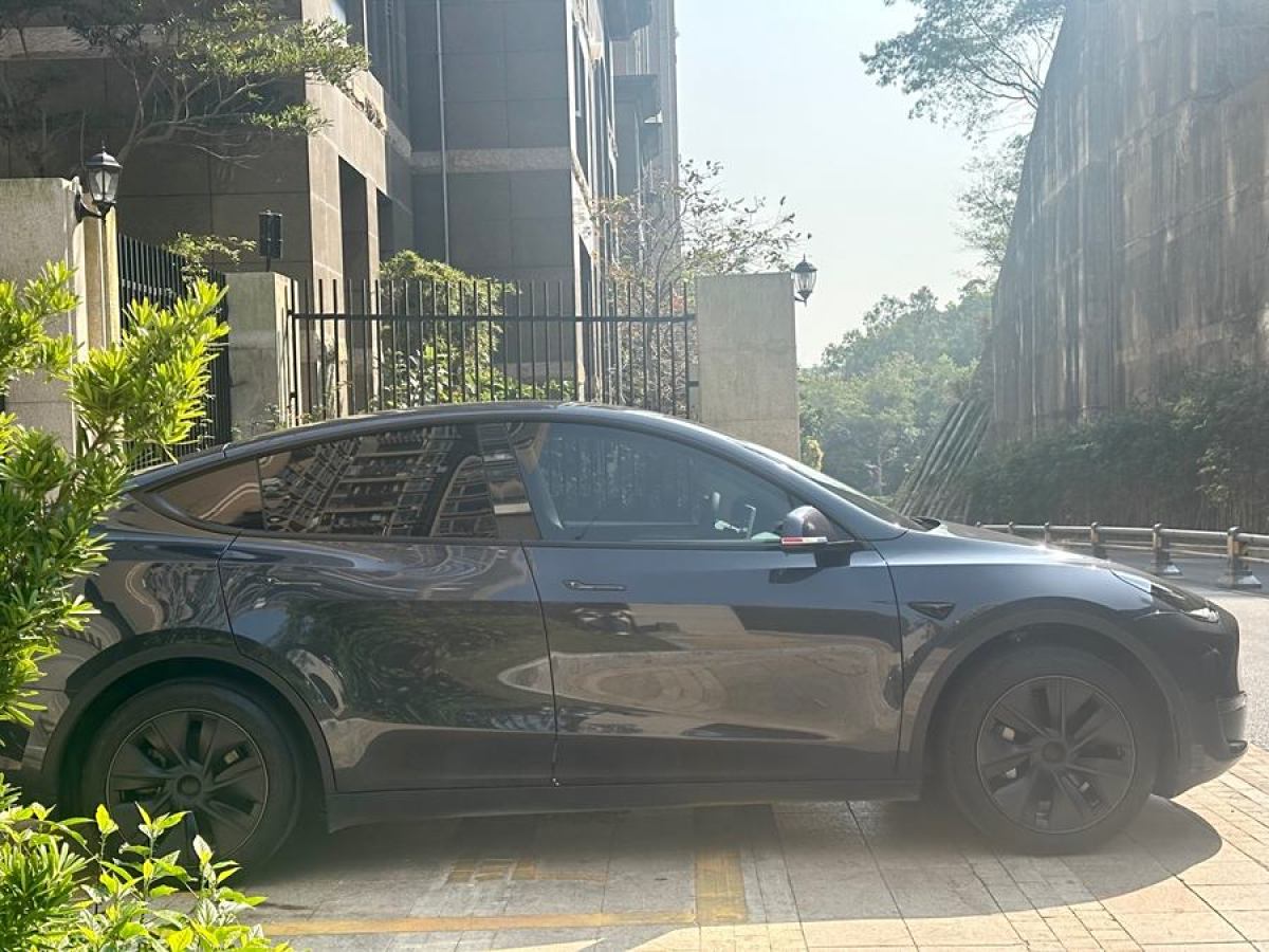 特斯拉 Model 3  2020款 改款 長續(xù)航后輪驅(qū)動版圖片