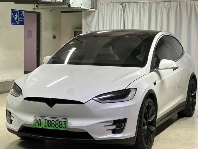 2018年4月 特斯拉 Model X Model X 100D 長(zhǎng)續(xù)航版圖片