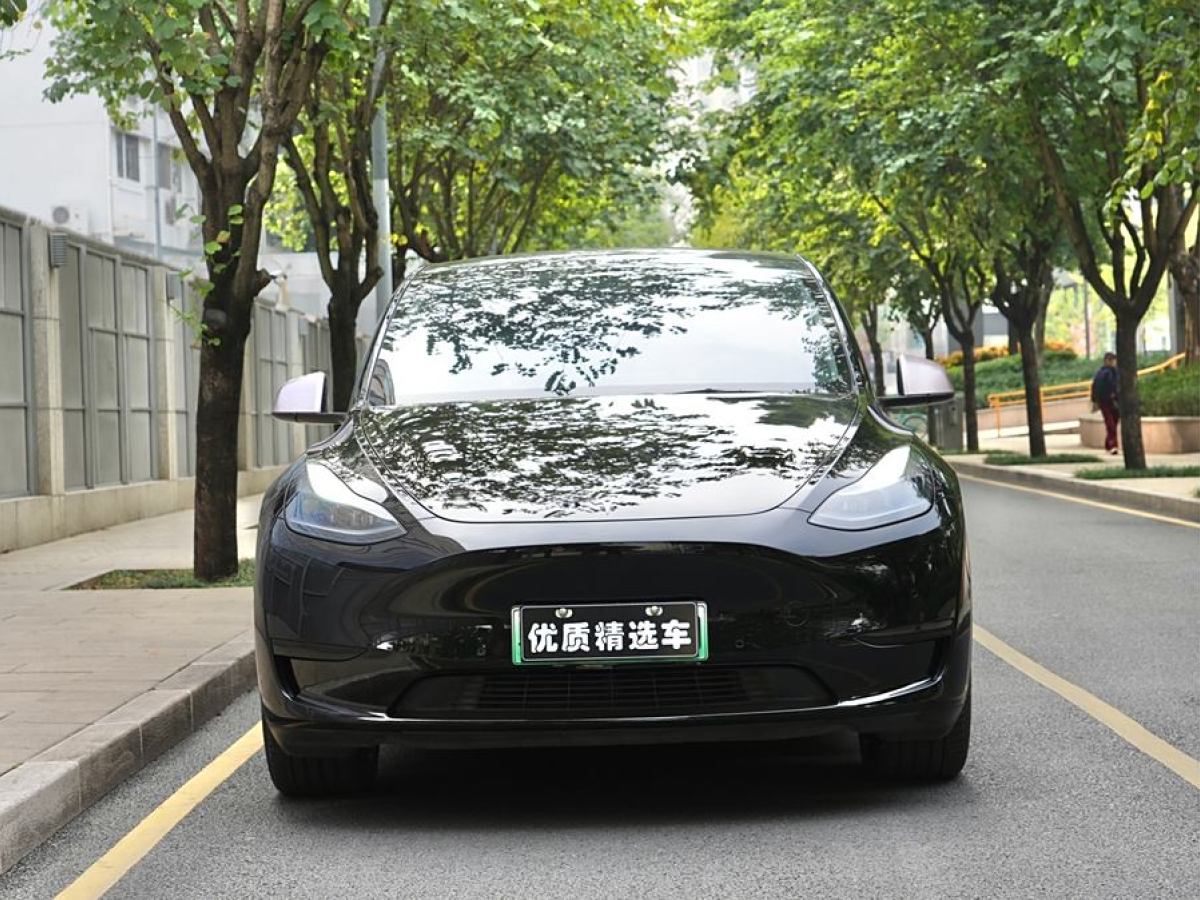 特斯拉 Model 3  2020款 改款 長續(xù)航后輪驅(qū)動(dòng)版圖片