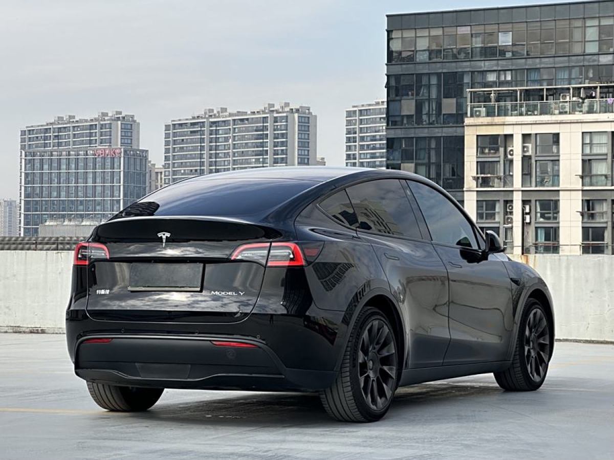 特斯拉 Model Y  2021款 改款 長續(xù)航全輪驅(qū)動版圖片