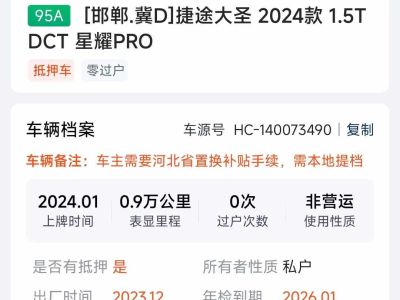 2024年1月 捷途 捷途大圣 1.5T DCT 星耀图片