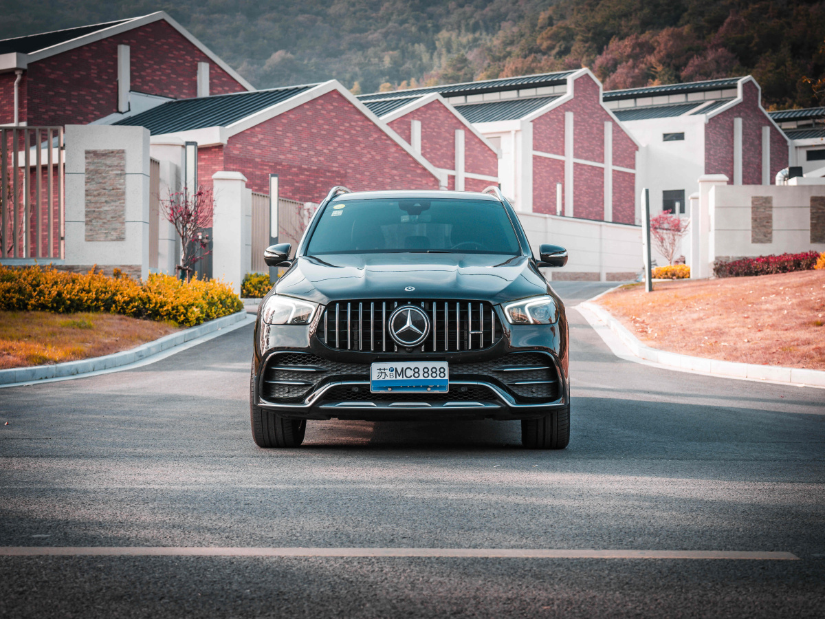 奔馳 奔馳GLE AMG  2020款 AMG GLE 53 4MATIC+圖片