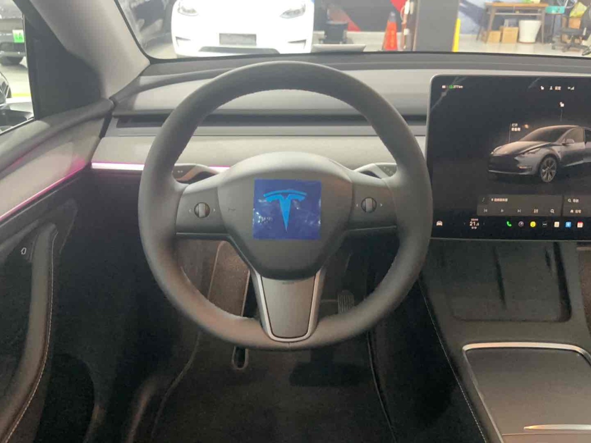 特斯拉 Model Y  2023款 長續(xù)航煥新版 雙電機(jī)全輪驅(qū)動圖片