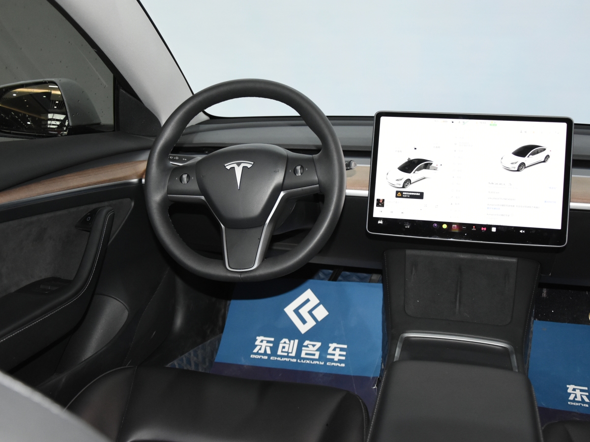 特斯拉 Model 3  2021款 標(biāo)準(zhǔn)續(xù)航后驅(qū)升級(jí)版 3D6圖片