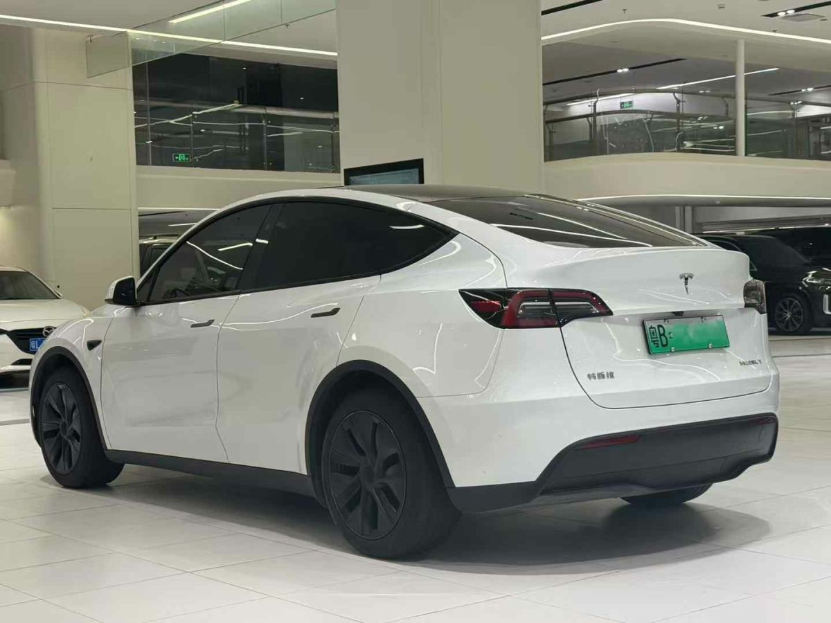 特斯拉 Model Y  2024款 Performance高性能版圖片