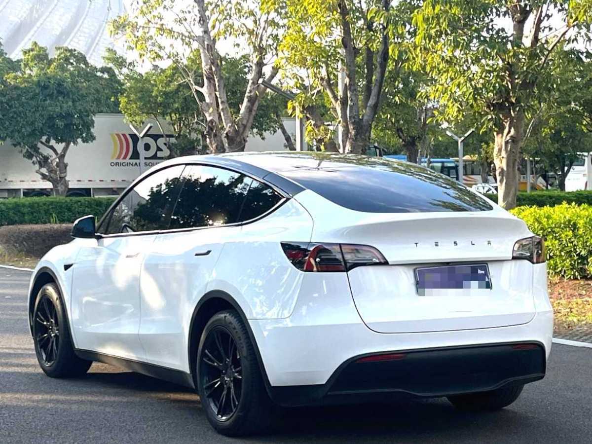 特斯拉 Model 3  2020款 改款 長續(xù)航后輪驅(qū)動版圖片