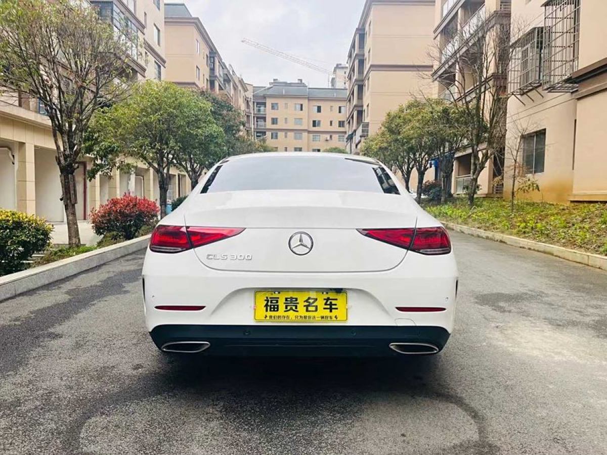 奔馳 奔馳CLS級(jí)  2018款 CLS 300 豪華型圖片