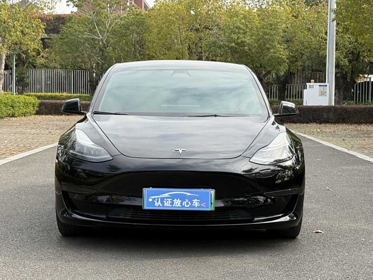 特斯拉 Model 3  2021款 標(biāo)準(zhǔn)續(xù)航后驅(qū)升級(jí)版 3D6圖片