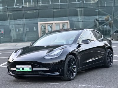 2020年6月 特斯拉 Model 3 標(biāo)準(zhǔn)續(xù)航后驅(qū)升級版圖片