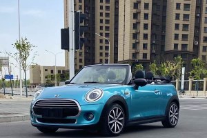 MINI MINI 1.5T COOPER CABRIO 藝術(shù)家