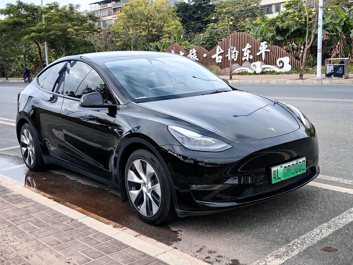 特斯拉 Model 3  2021款 改款 標(biāo)準(zhǔn)續(xù)航后驅(qū)升級(jí)版圖片