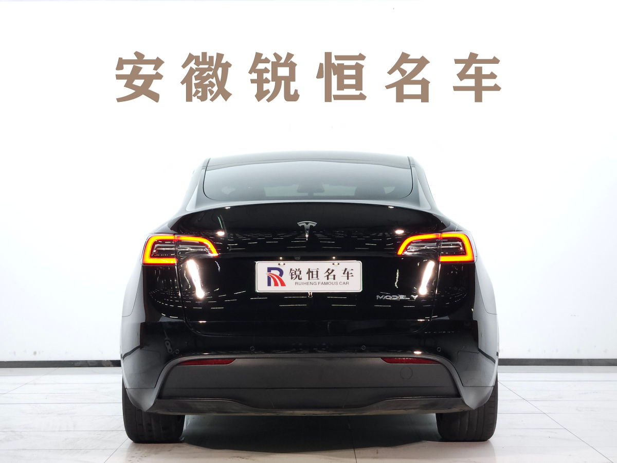 特斯拉 Model Y  2022款 后輪驅(qū)動版圖片