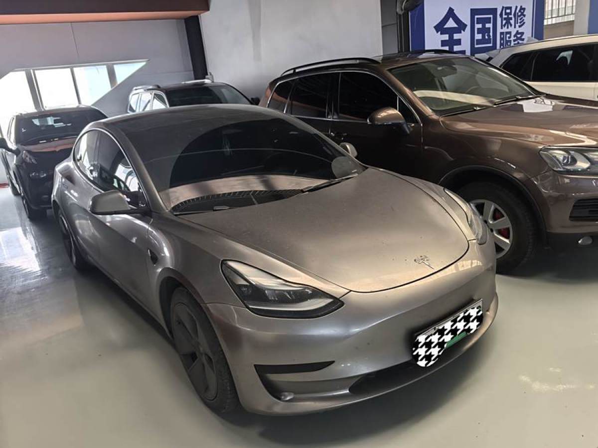 特斯拉 Model 3  2021款 標(biāo)準(zhǔn)續(xù)航后驅(qū)升級(jí)版 3D6圖片