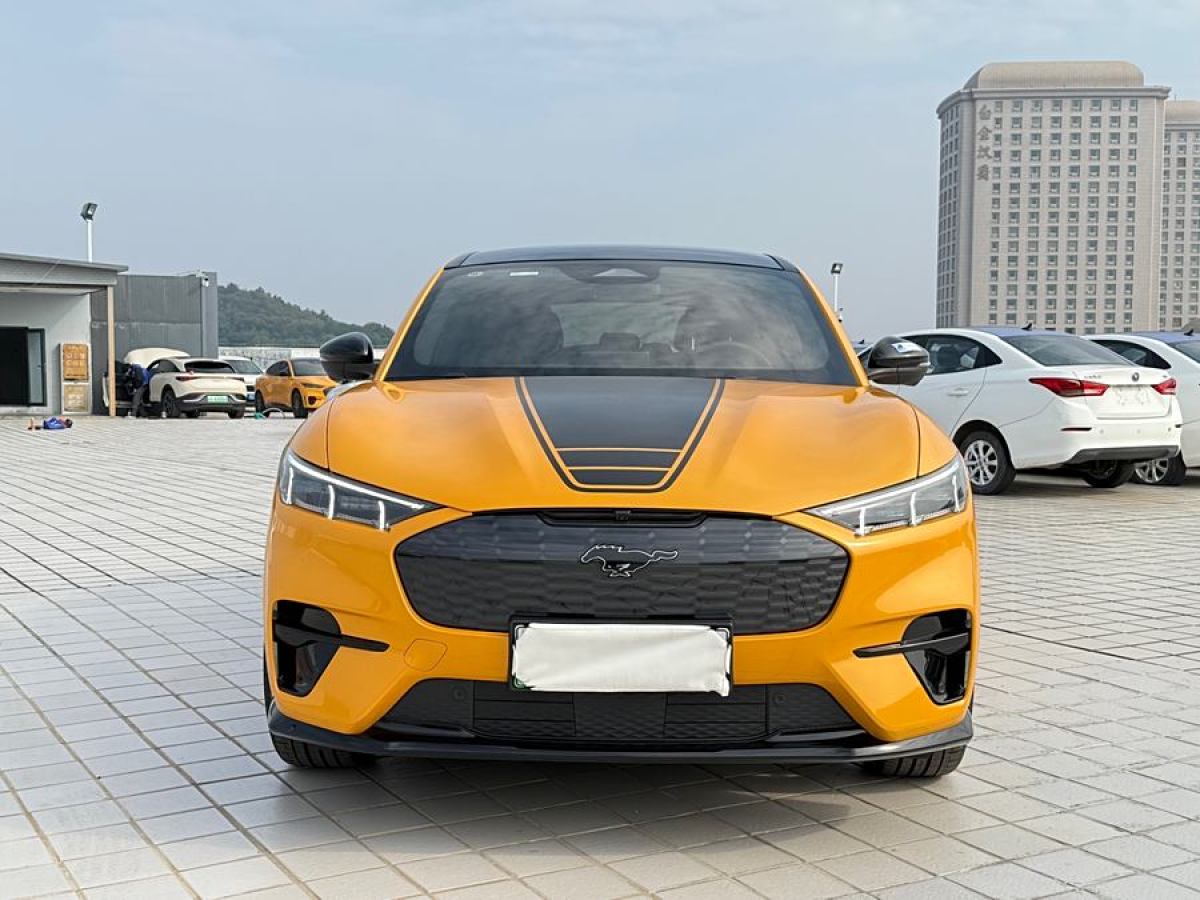 2024年3月福特 Mustang Mach-E  2024款 GT風(fēng)暴版