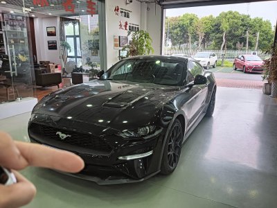2021年9月 福特 Mustang(进口) 2.3L EcoBoost 黑曜魅影特别版图片