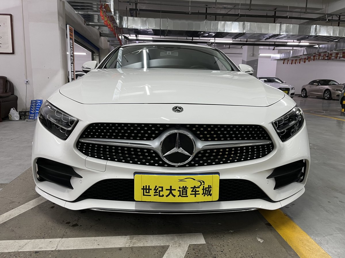 奔馳 奔馳CLS級(jí)  2018款 CLS 300 豪華型圖片