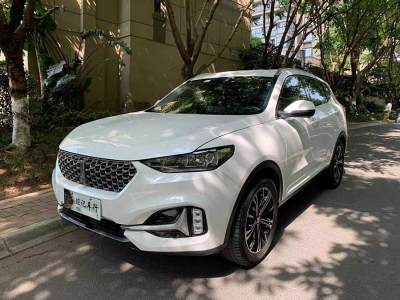 2021年8月 WEY VV6 2.0T 兩驅(qū)智護+圖片