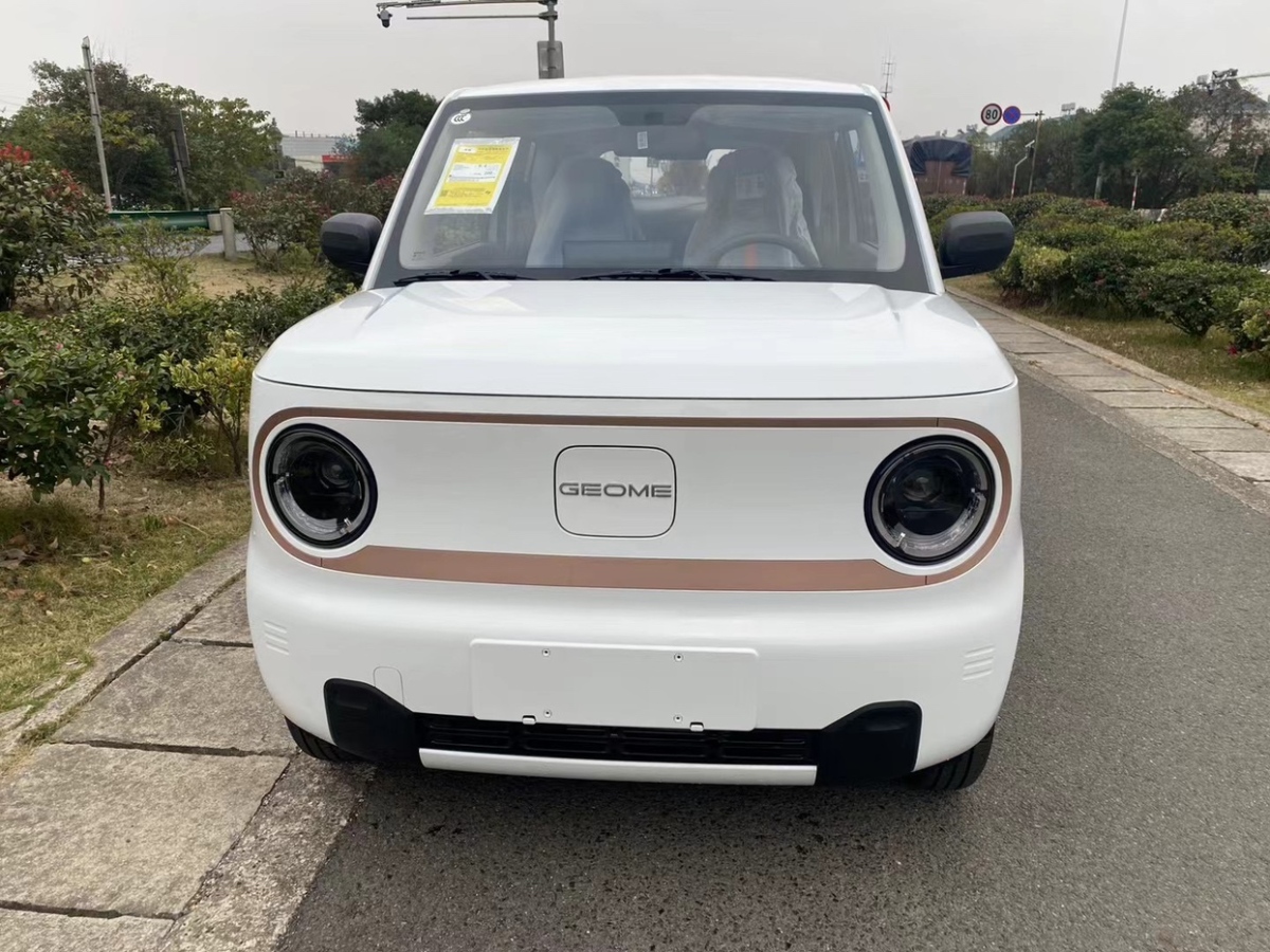 吉利 熊貓mini  2024款 熊貓mini 200km 龍騰版圖片