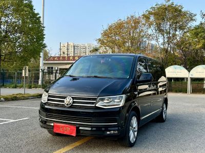 2018年7月 大眾 邁特威(進口) 2.0TSI 兩驅豪華版 6座圖片