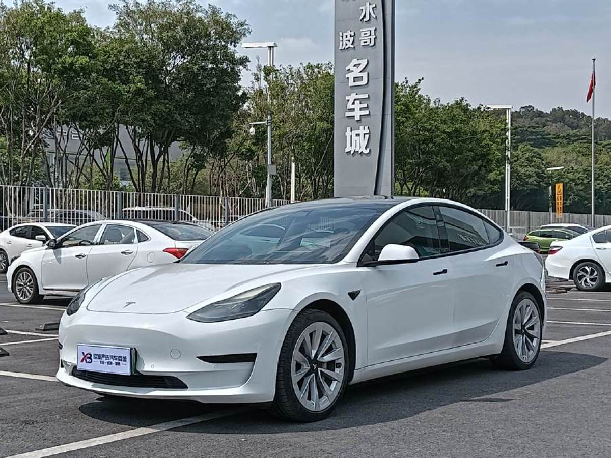 2021年3月特斯拉 Model 3  2021款 改款 標準續(xù)航后驅(qū)升級版