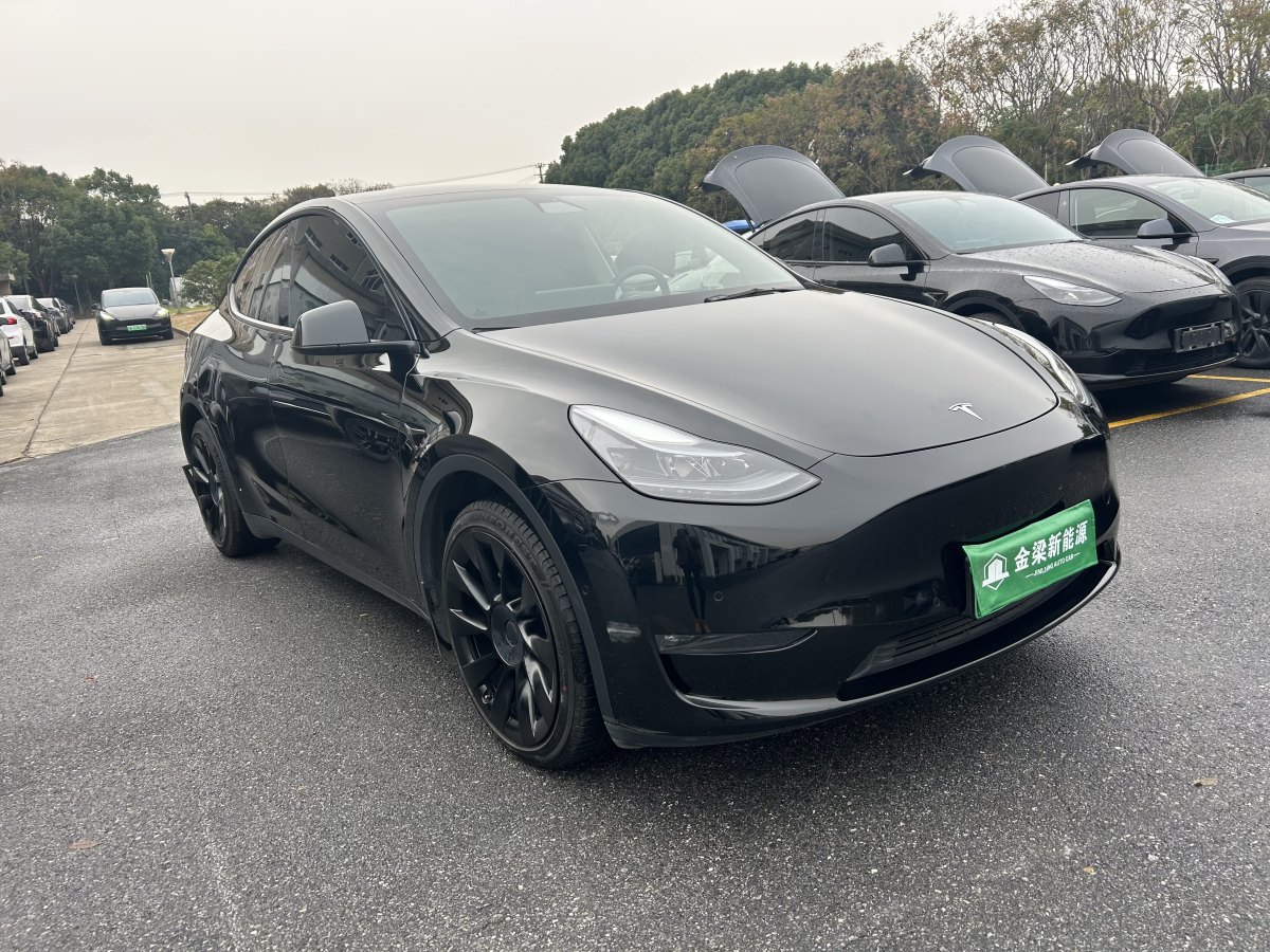 特斯拉 Model 3  2021款 改款 標準續(xù)航后驅(qū)升級版圖片