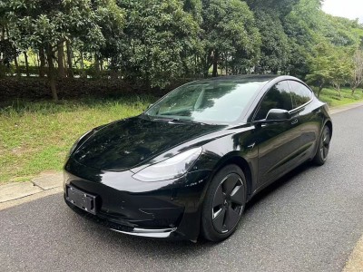 2022年02月 特斯拉 Model 3 改款 后輪驅動版圖片