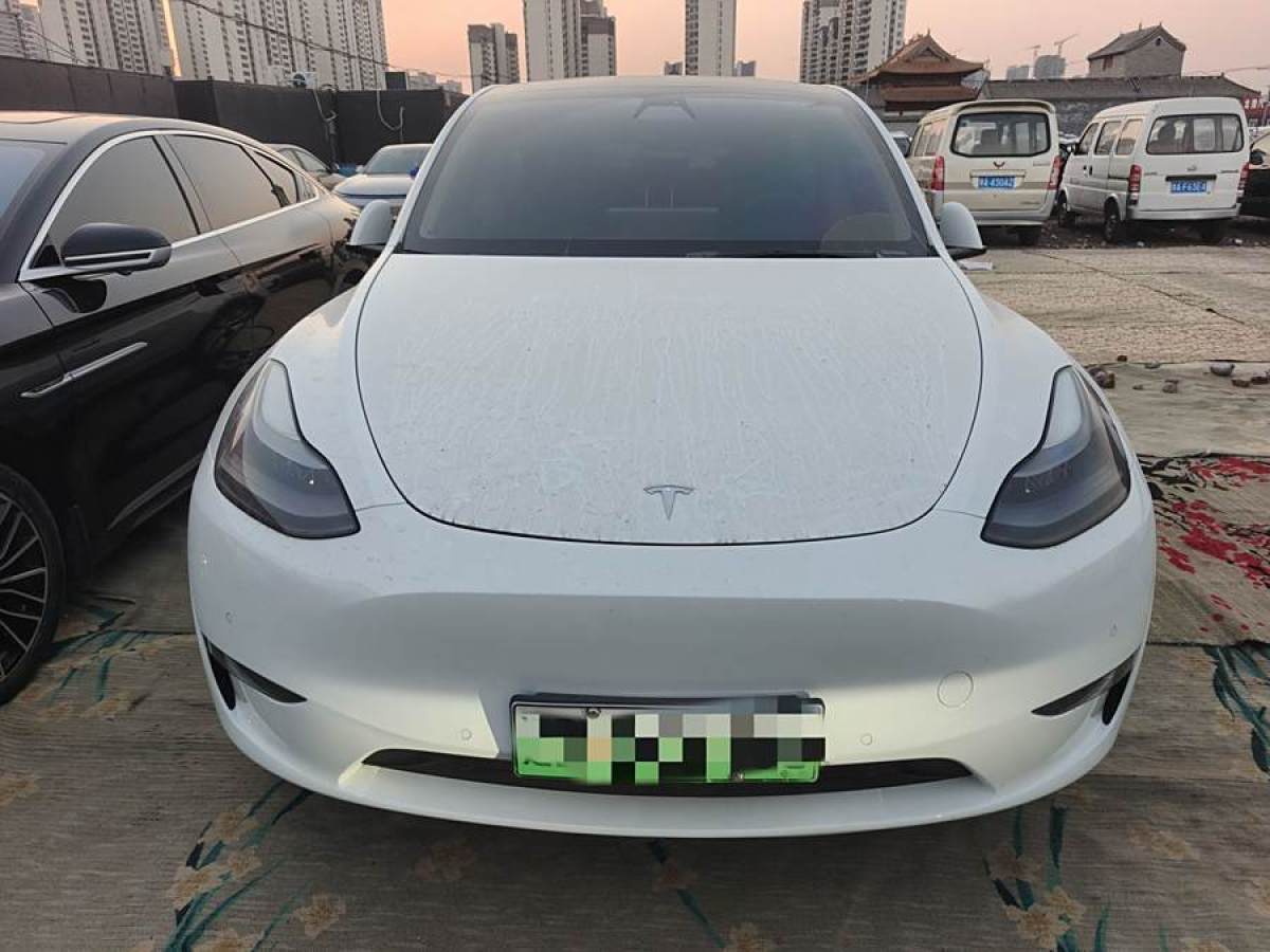 特斯拉 Model Y  2021款 改款 長(zhǎng)續(xù)航全輪驅(qū)動(dòng)版圖片