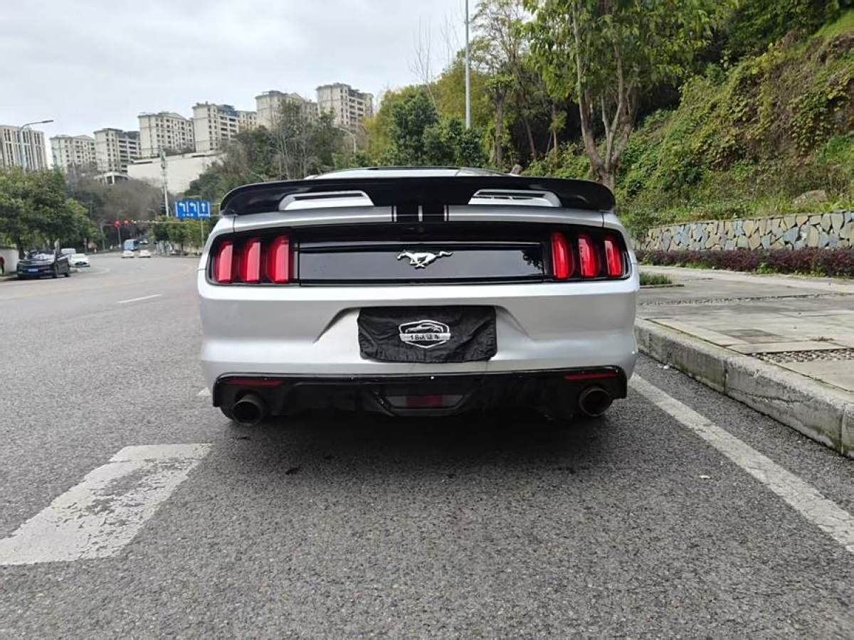 福特 Mustang  2015款 2.3T 性能版圖片