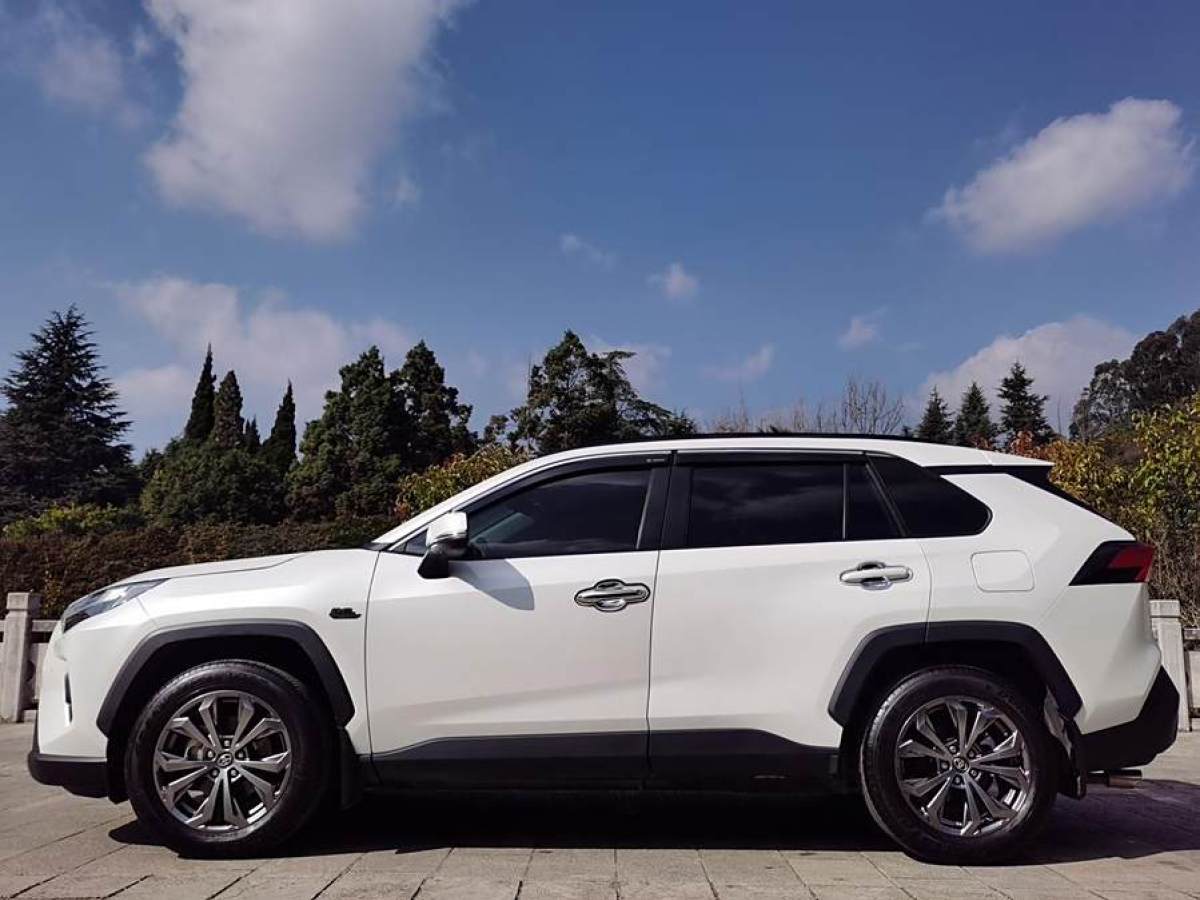 豐田 RAV4榮放  2023款 2.0L CVT兩驅(qū)20周年鉑金紀(jì)念版圖片