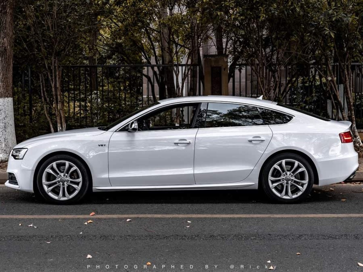 奧迪 奧迪S5  2012款 S5 3.0T Sportback圖片