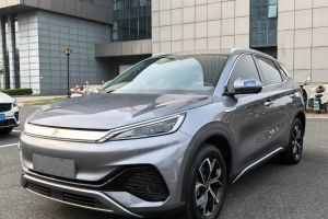 元UP 比亞迪 301KM 領(lǐng)先型