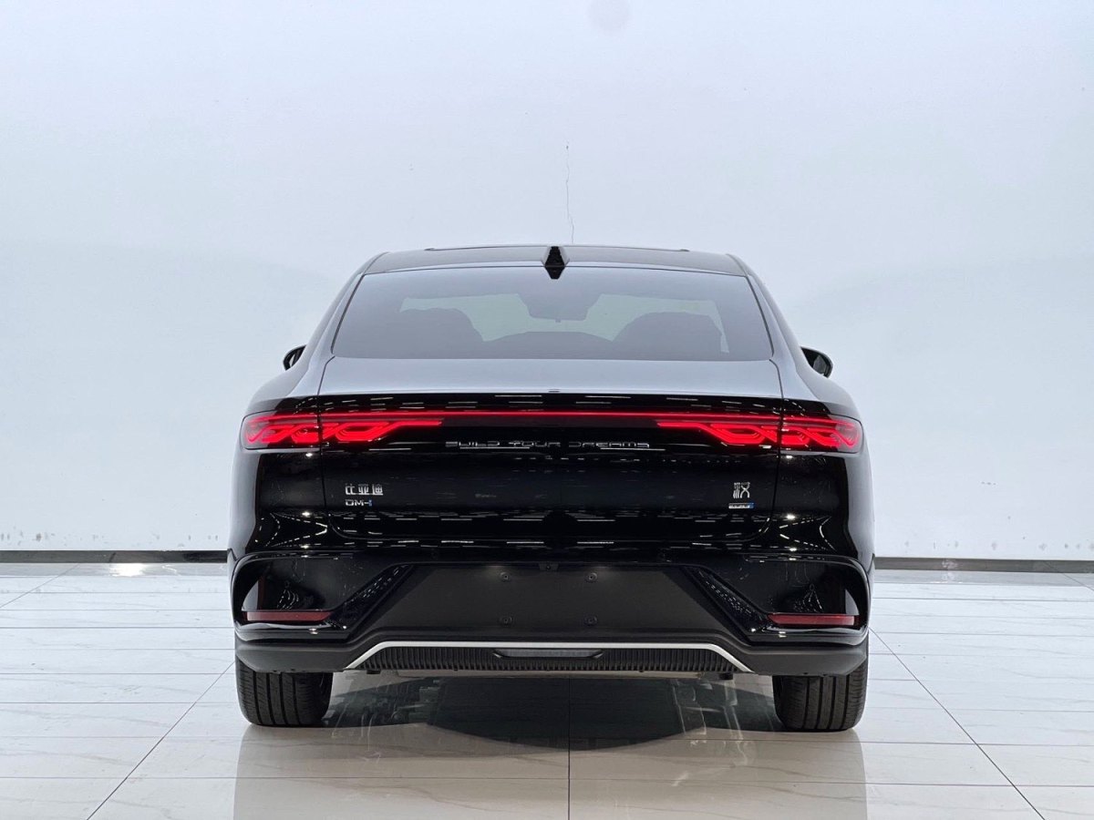 比亞迪 漢  2025款 DM-i 125KM精英型圖片