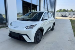 海鷗 比亞迪 305km 活力版