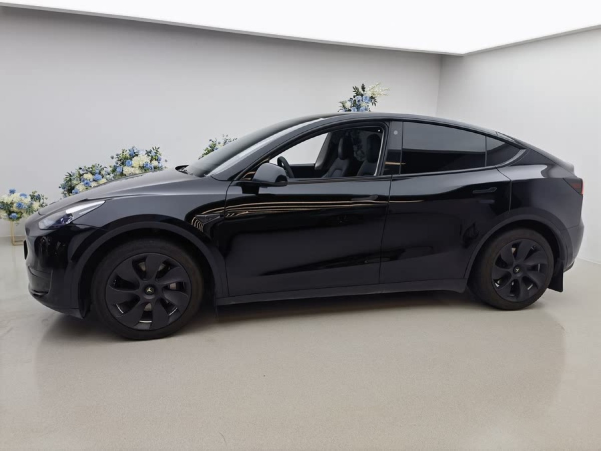 特斯拉 Model Y  2022款 改款 后輪驅(qū)動版圖片