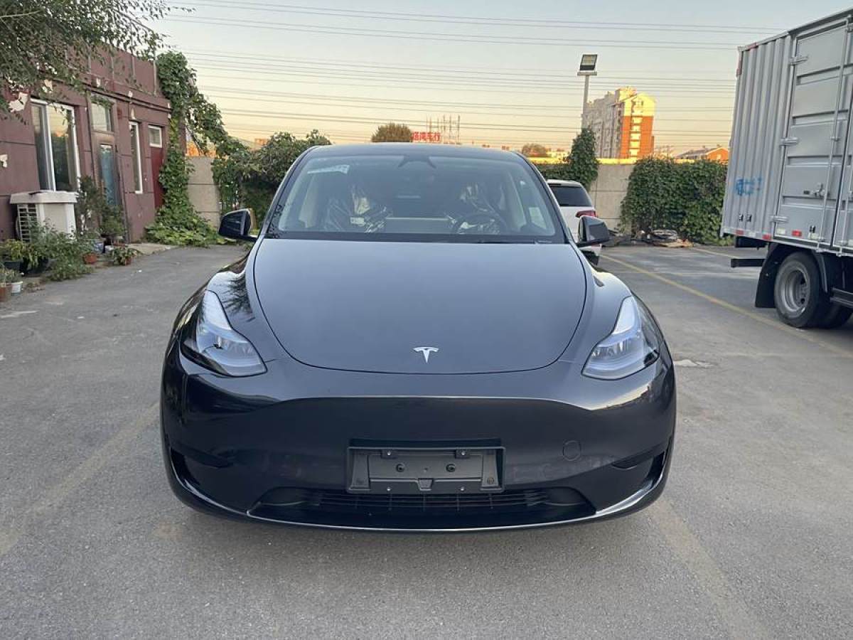 特斯拉 Model Y  2020款 改款 长续航后轮驱动版图片