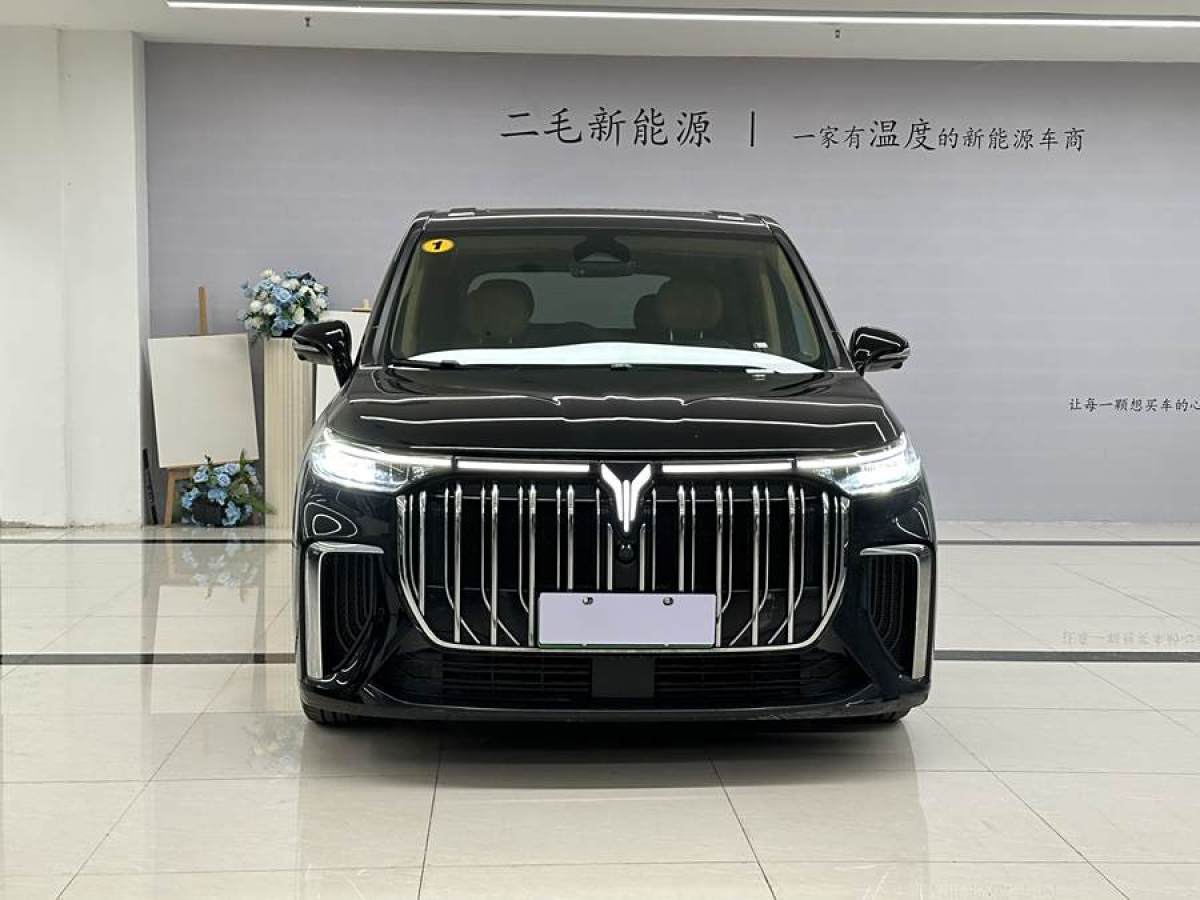 嵐圖 夢想家  2024款 PHEV 超長續(xù)航旗艦版圖片