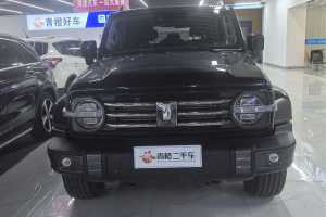 坦克300 坦克 城市版 2.0T 很有型