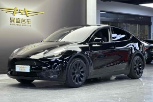 Model Y 特斯拉 改款 标准续航后驱升级版