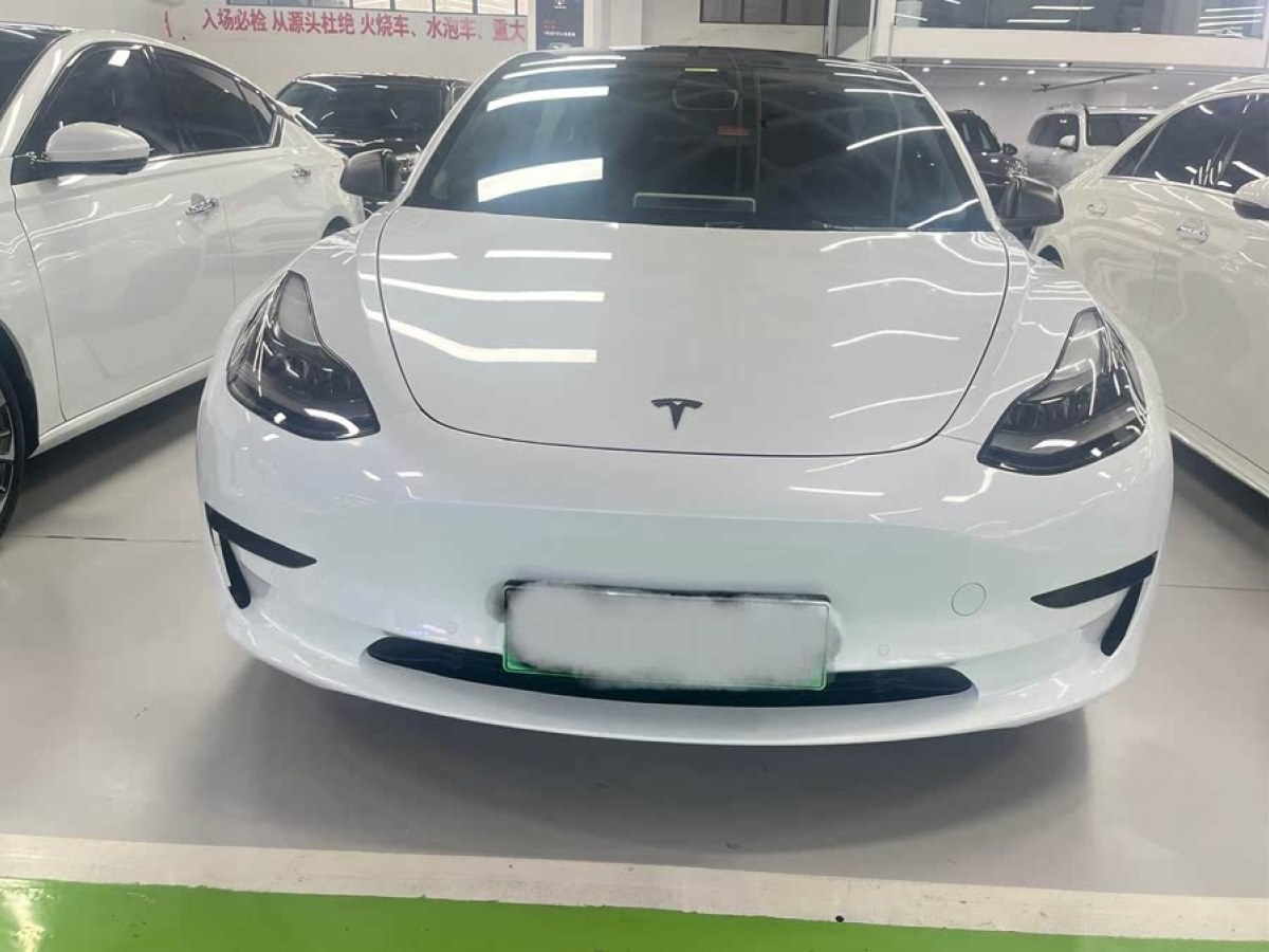 特斯拉 Model 3  2021款 標(biāo)準(zhǔn)續(xù)航后驅(qū)升級(jí)版 3D6圖片