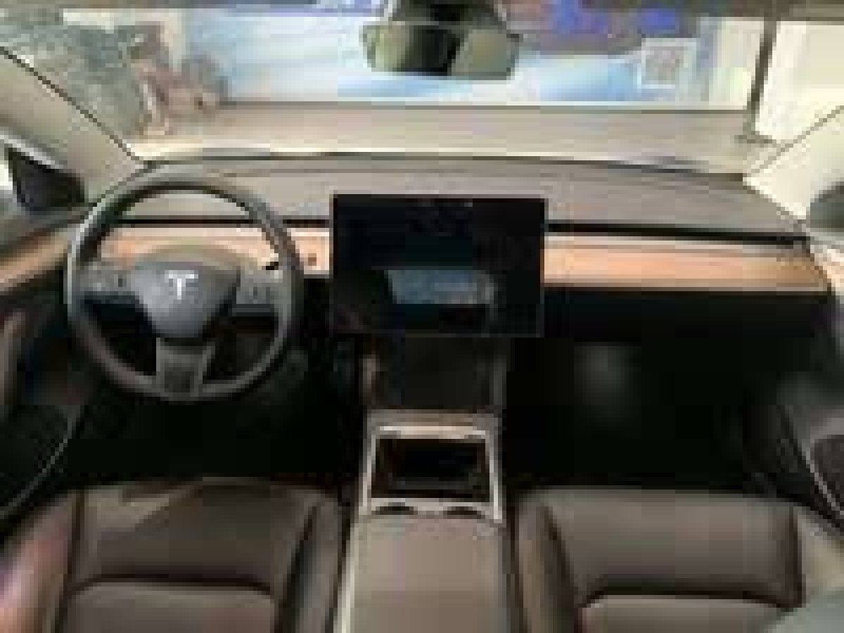 特斯拉 Model 3  2022款 Performance高性能全輪驅(qū)動版圖片