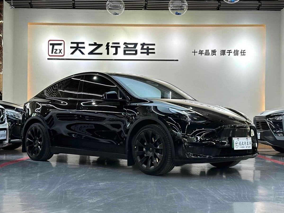 特斯拉 Model 3  2022款 后輪驅(qū)動(dòng)版圖片