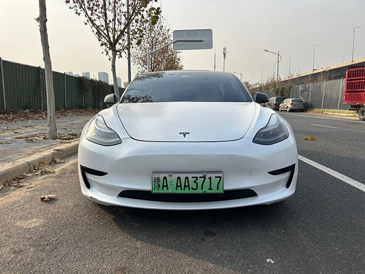 特斯拉 Model 3  2021款 改款 標(biāo)準(zhǔn)續(xù)航后驅(qū)升級版圖片