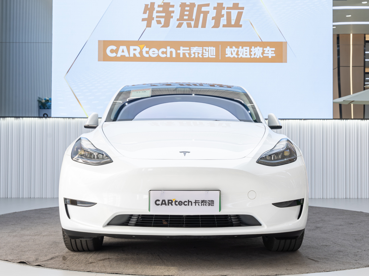 特斯拉 Model 3  2020款 改款 長續(xù)航后輪驅(qū)動版圖片