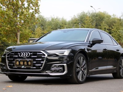 2023年7月 奧迪 奧迪A6L 45 TFSI 臻選動(dòng)感型圖片