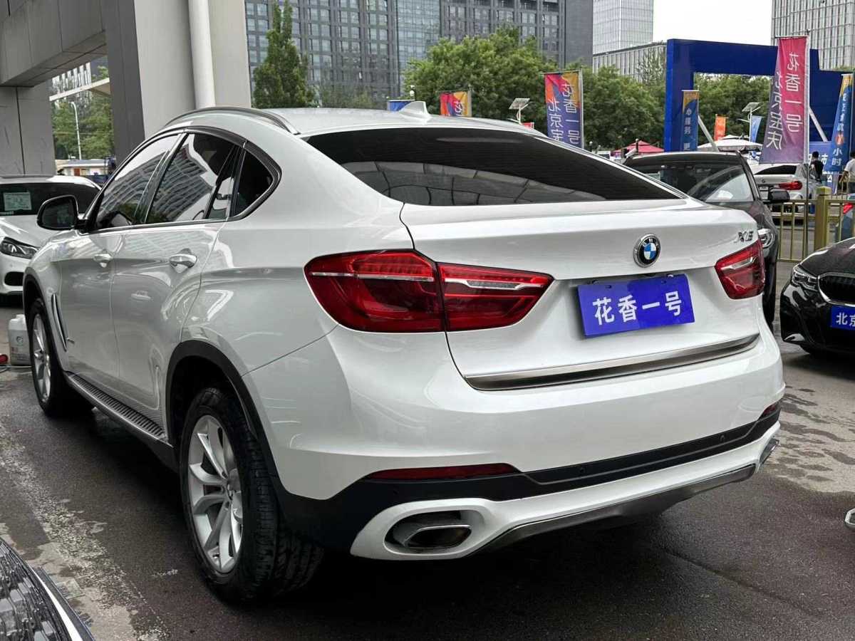 寶馬 寶馬X6  2017款 xDrive35i 領(lǐng)先型圖片