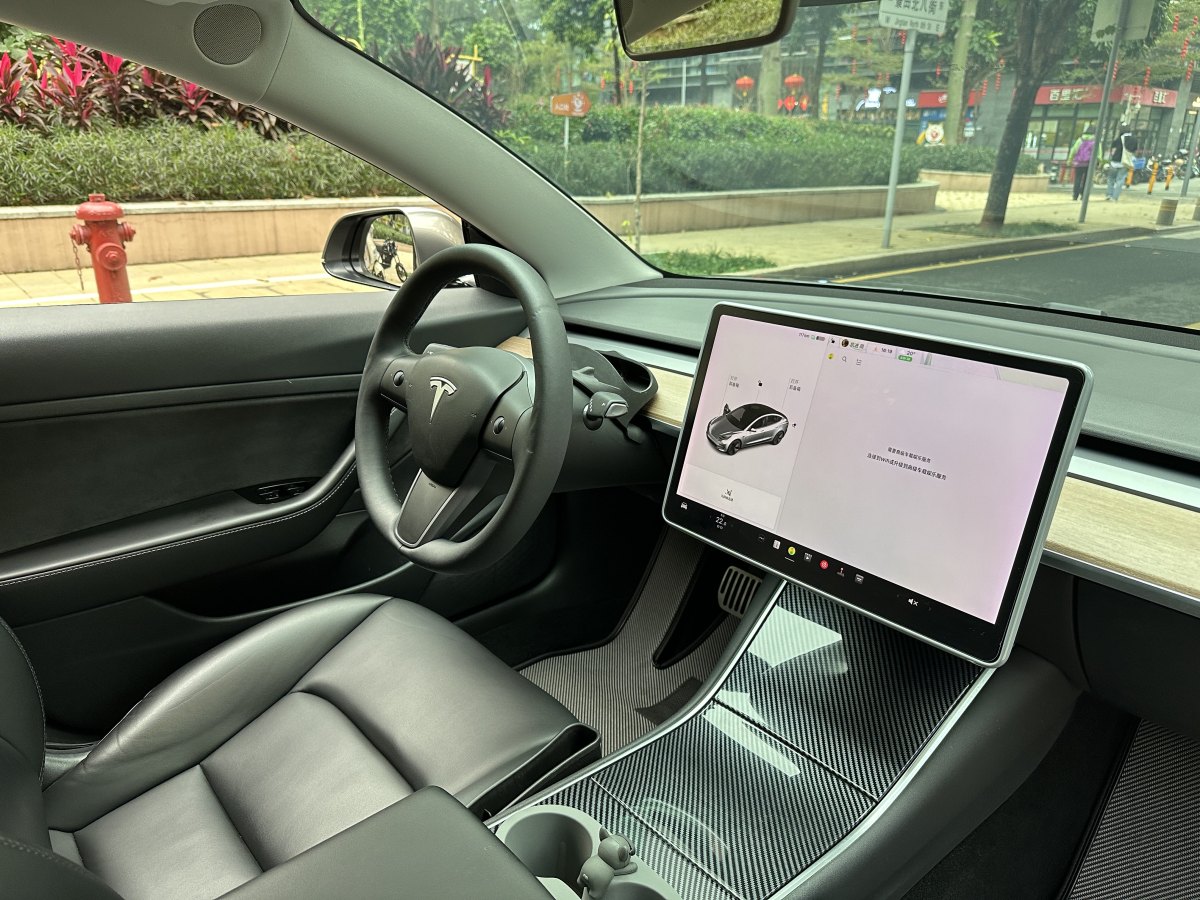 特斯拉 Model 3  2019款 標(biāo)準(zhǔn)續(xù)航后驅(qū)升級(jí)版圖片