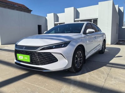 2024年10月 比亞迪 秦L DM-i 80KM領(lǐng)先型圖片