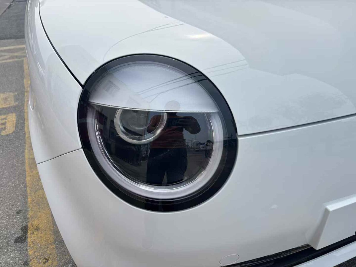 長(zhǎng)安跨越 新豹T3 EV  2025款 PLUS 單排標(biāo)準(zhǔn)型 倉(cāng)柵車(chē)圖片
